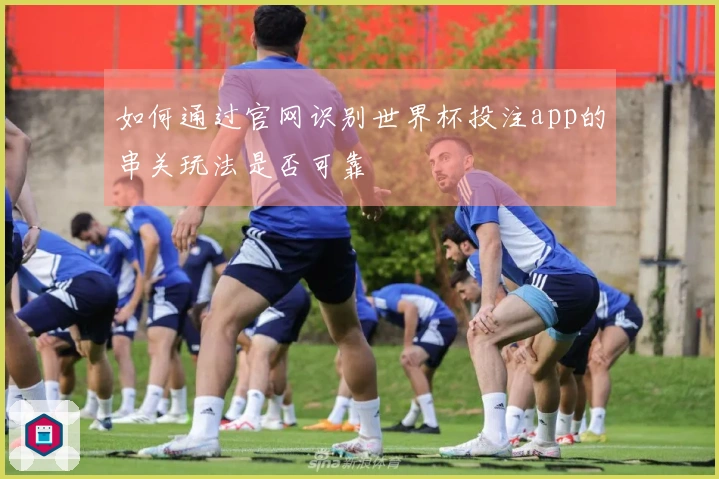 如何通过官网识别世界杯投注app的串关玩法是否可靠